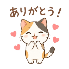 tomatomato_20260818090119