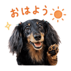 Taiga_20260818193044