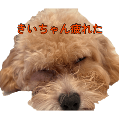 Ryo-kun_20260818152848
