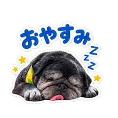 TOMOMO_20260818213228
