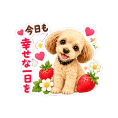 hana_20260818204248