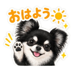 HINANA_20260818191316