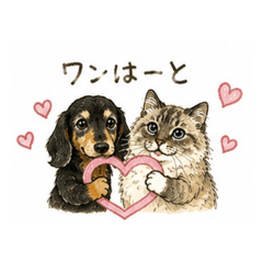 MeowMaru_20260817192459