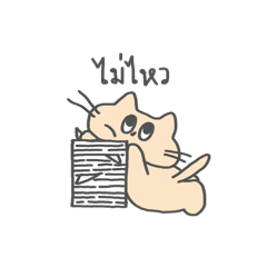 yomyam lazy cat