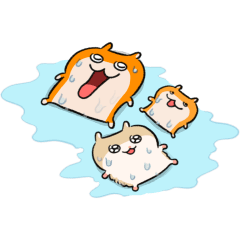 KUSOHAMU & COBIHAMU (SUMMER) Move