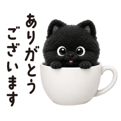 Black Pomeranian F(Honorifics)