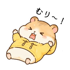 Yururi_20260818182736