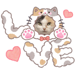 Moka_20260819004430