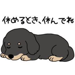 bodylongdog