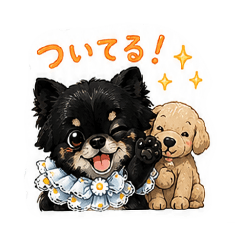 maririririn_20260818210521