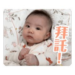 yitzu_c_20260818161337