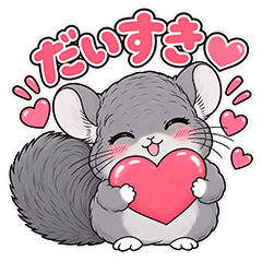 cute cute chinchilla
