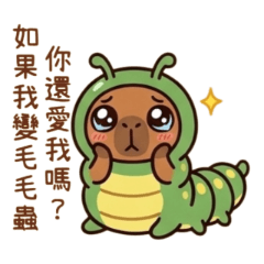 內褲水豚34幸運草小褲褲