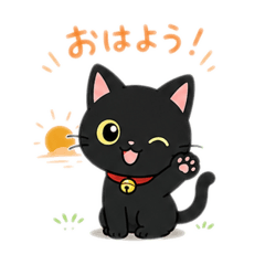 BLACK CAT_20260819024646