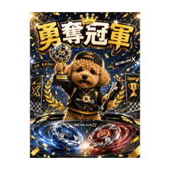小龍王打陀螺