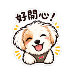 波妞Q