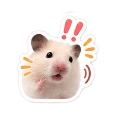 U金發