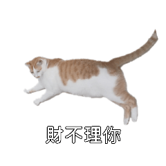 阿財專屬~