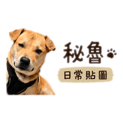 飛山越的秘魯日常