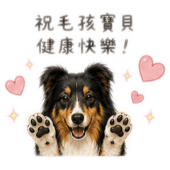 咕咕G順寶的上班日常
