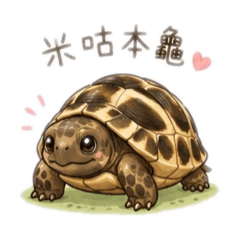 米咕是個龜