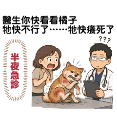 Vet’s murmur