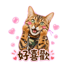 真版小豹Line貼圖