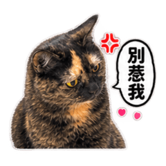 臭臉Amber