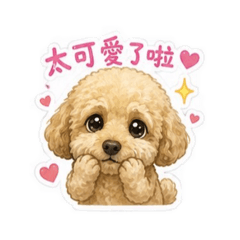 money可愛版