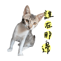 我們三姊妹出來賺零用錢- V.