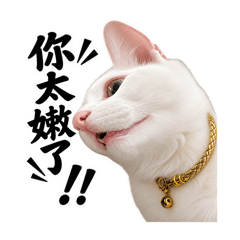 家有王子2