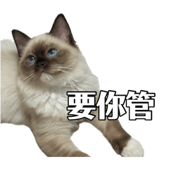 嗨～我是Dona⌯'-'⌯