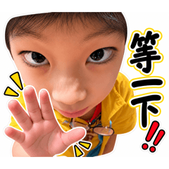 蓁融融