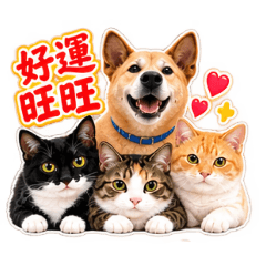 汪汪喵喵吉祥話