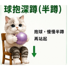 貓咪愛運動2小球+椅子