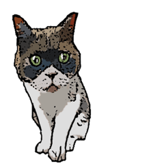 FukagawaNeko Wandering Cat Lifeo Vol.2