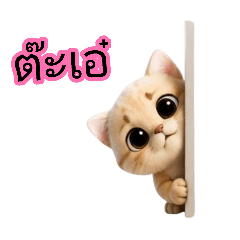 Nongnapat_20260814123743