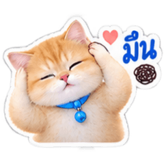 Shinchan_20260814200057