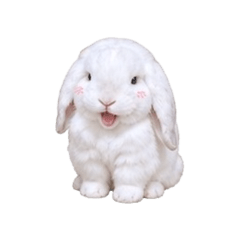 Moji White bit! V.1_20260814225231