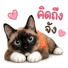my name is foo
