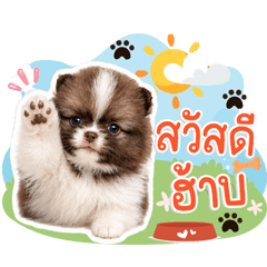 Ha7415482ptq