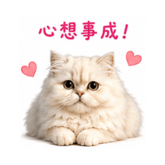 活力小貼圖 156 波斯貓祝福篇