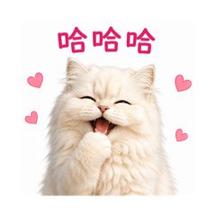 活力小貼圖 157 波斯貓回覆篇