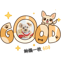 軟爛小狗勾”嗚呼”
