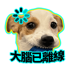 Chou Tang-Hao: Cute but Unhinged