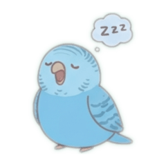 Sweet & Gentle Blue Parakeet: Daily Chat