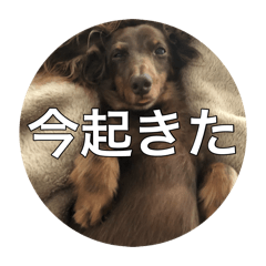 MonTototo2_20260819093523