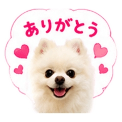 Yurupom_20260819072645