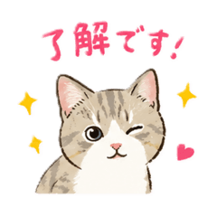 Sujino_20260819073731
