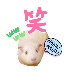 saya_20260819080505